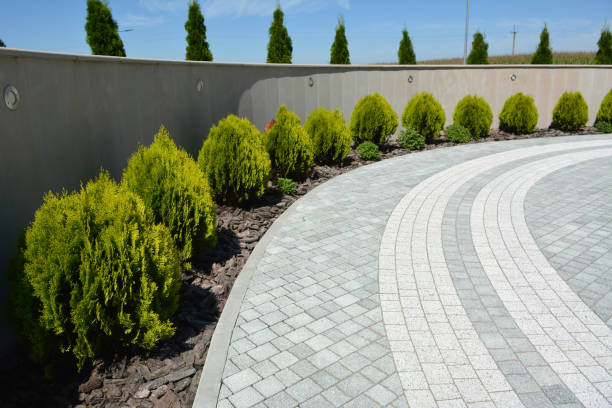 Best Professional Driveway Pavers  in Keewatin, MN